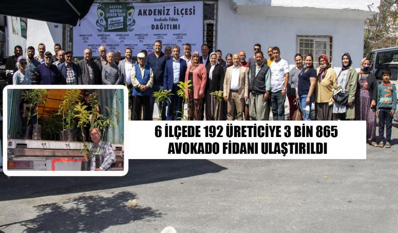 BÜYÜKŞEHİR, AVOKADO DAĞITIM PROJESİ’NİN İLK ETABINI TAMAMLADI