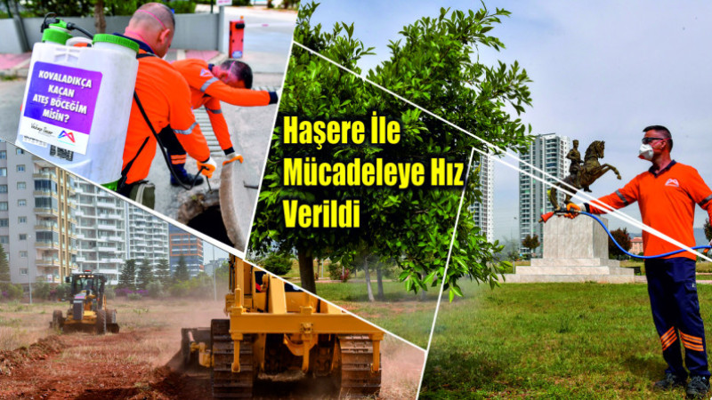 Mersin Büyükşehir Haşere İle Mücadeleye Hız Verdi 