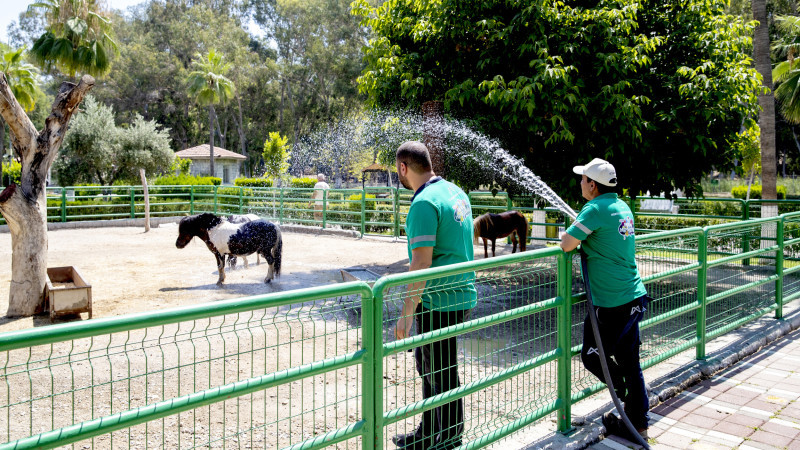 Tarsus Doğa Parkı Sakinlerine Fıskiyeli Ve Buzlu Meyveli Serinlik