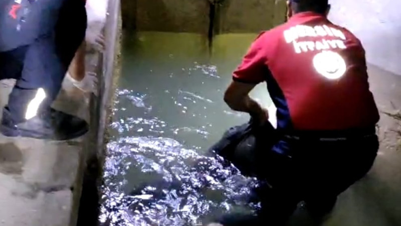 Tarsus'ta sulama kanalında erkek cesedi bulundu