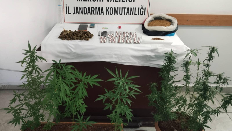 JANDARMADAN UYUŞTURUCU MADDE OPERASYONU