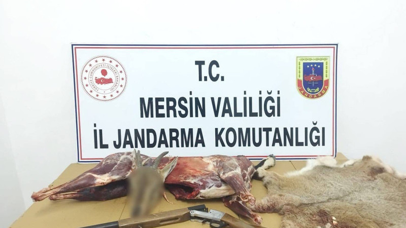 Mersin’de Koruma  Altındaki Yaban Keçisi Avına  650 Bin TL ceza 