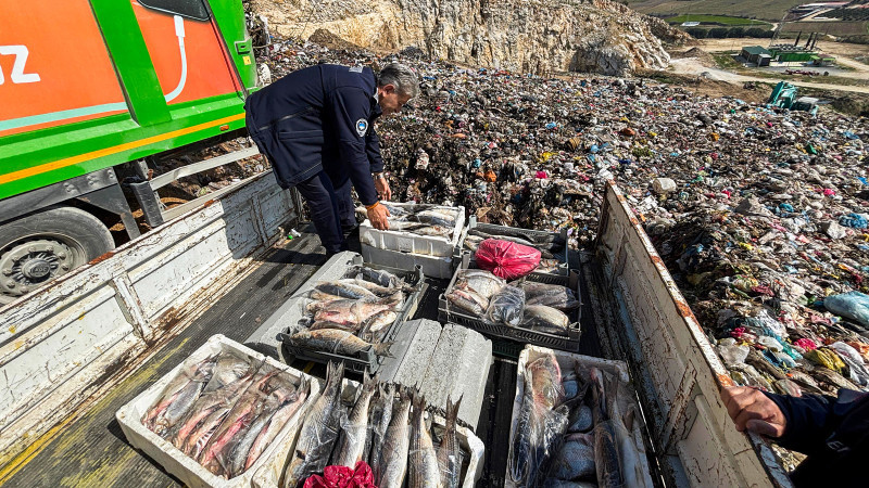 TARSUS’ TA SAĞLIKSIZ KOŞULLARDAKİ 750 KİLOGRAM BALIK İMHA EDİLDİ