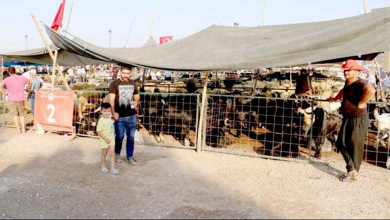 Mersin Haber/ Toroslar Belediyesi'nin Kurban Satış Ve Kesim Yerleri Bayrama Hazır