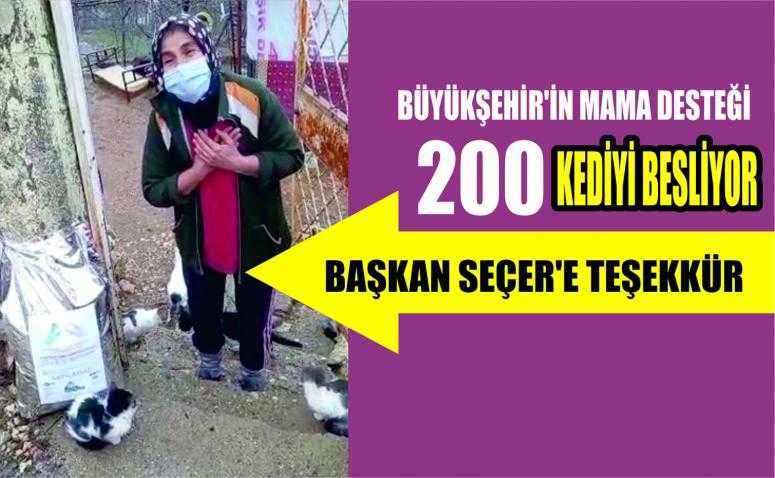 BÜYÜKŞEHİR’DEN MAMA DESTEĞİ ALAN HAYVANSEVER AYŞE GÜNGÖR’DEN, BAŞKAN SEÇER’E TEŞEKKÜR