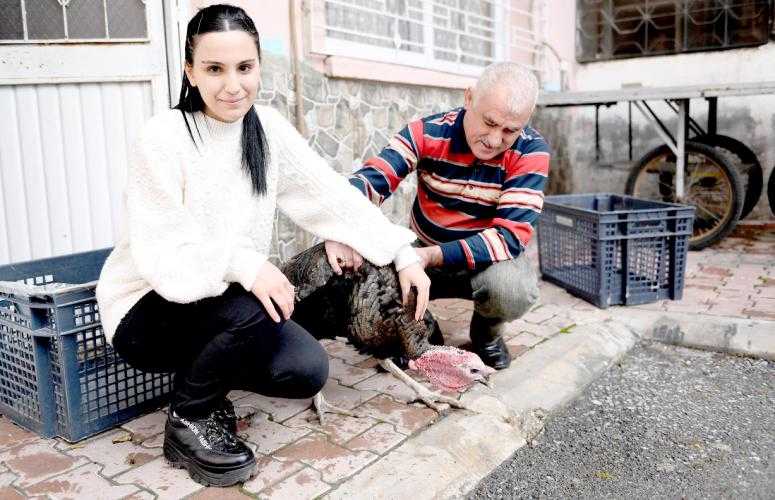 TEKSİN ÜZERİNDEN BAŞKAN SEÇER’E ULAŞTI, YENİ HİNDİSİNE KAVUŞTU