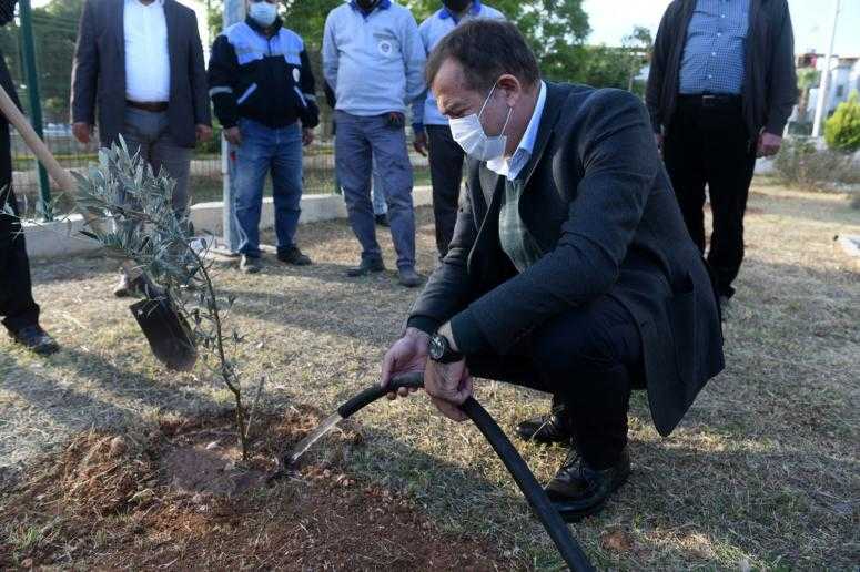 Yenişehir’deki okullarda 1000 zeytin fidanı toprakla buluştu